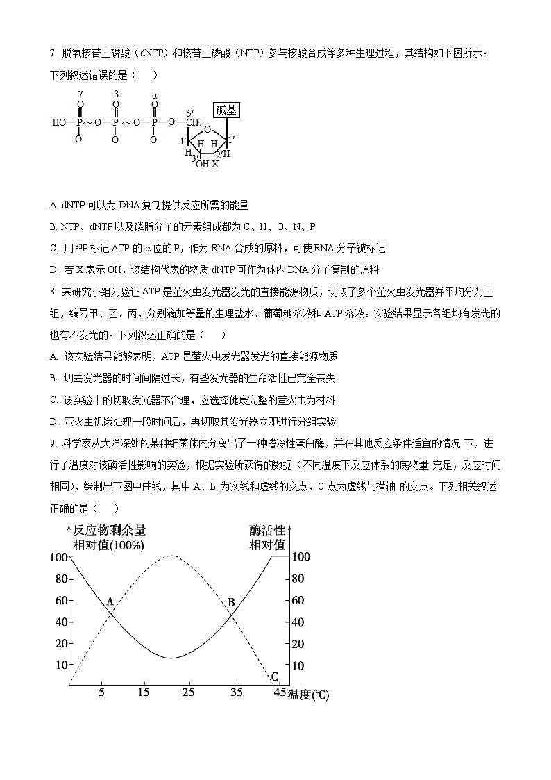 福建省莆田锦江中学2023-2024学年高一下学期3月月考生物试题（原卷版+解析版）03