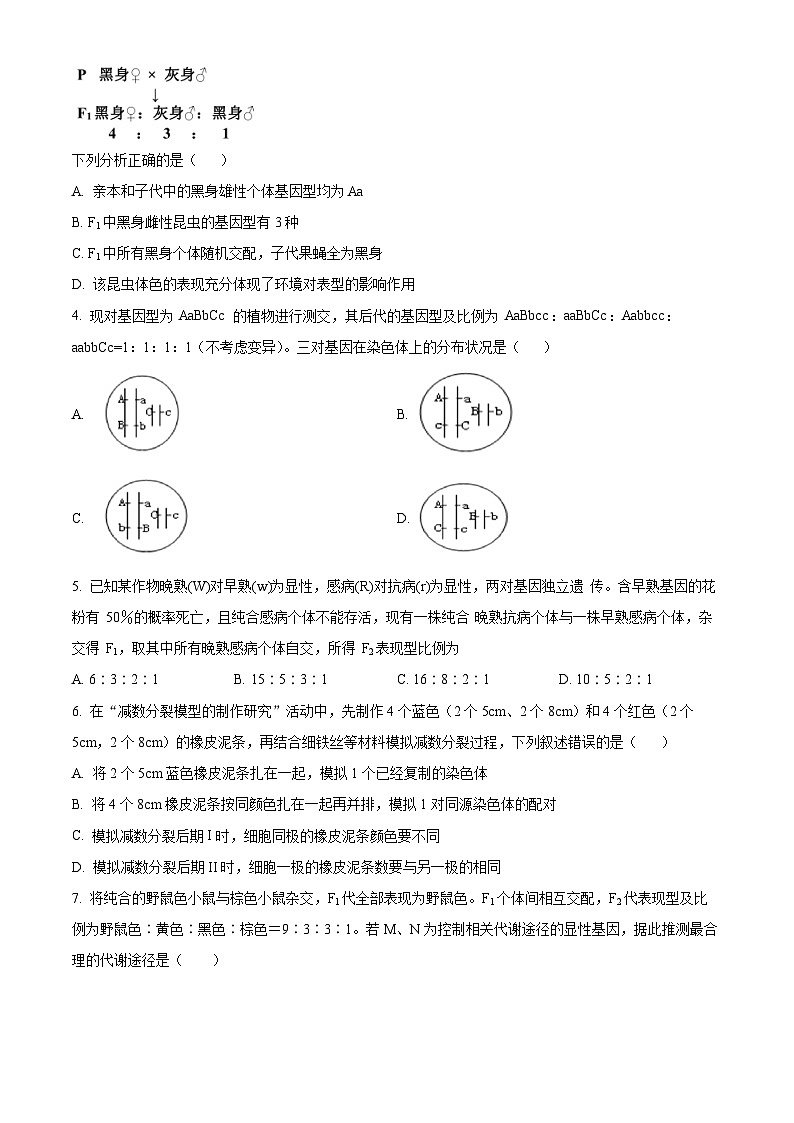 山东省枣庄市滕州市第一中学2023-2024学年高一下学期3月月考生物试卷（原卷版）第2页