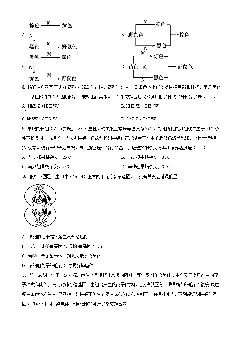 山东省枣庄市滕州市第一中学2023-2024学年高一下学期3月月考生物试卷（原卷版）第3页