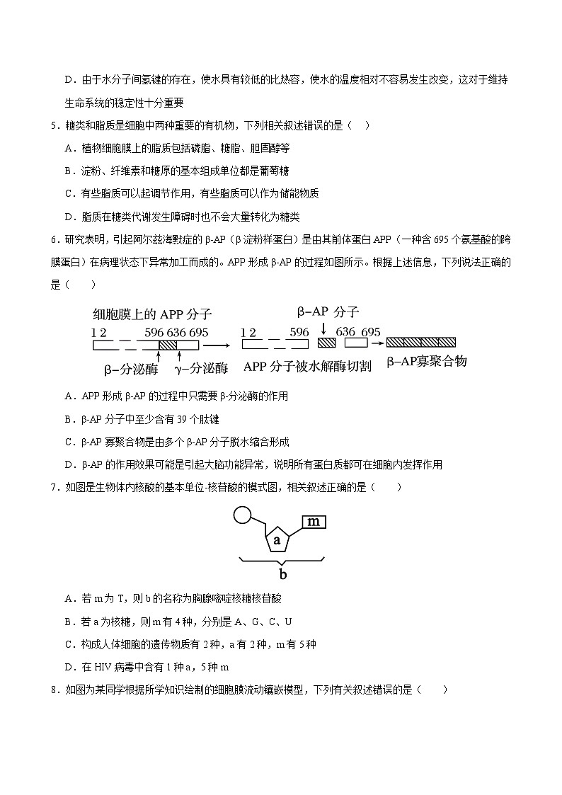 高一生物开学摸底考（全国通用）（考试版）第2页