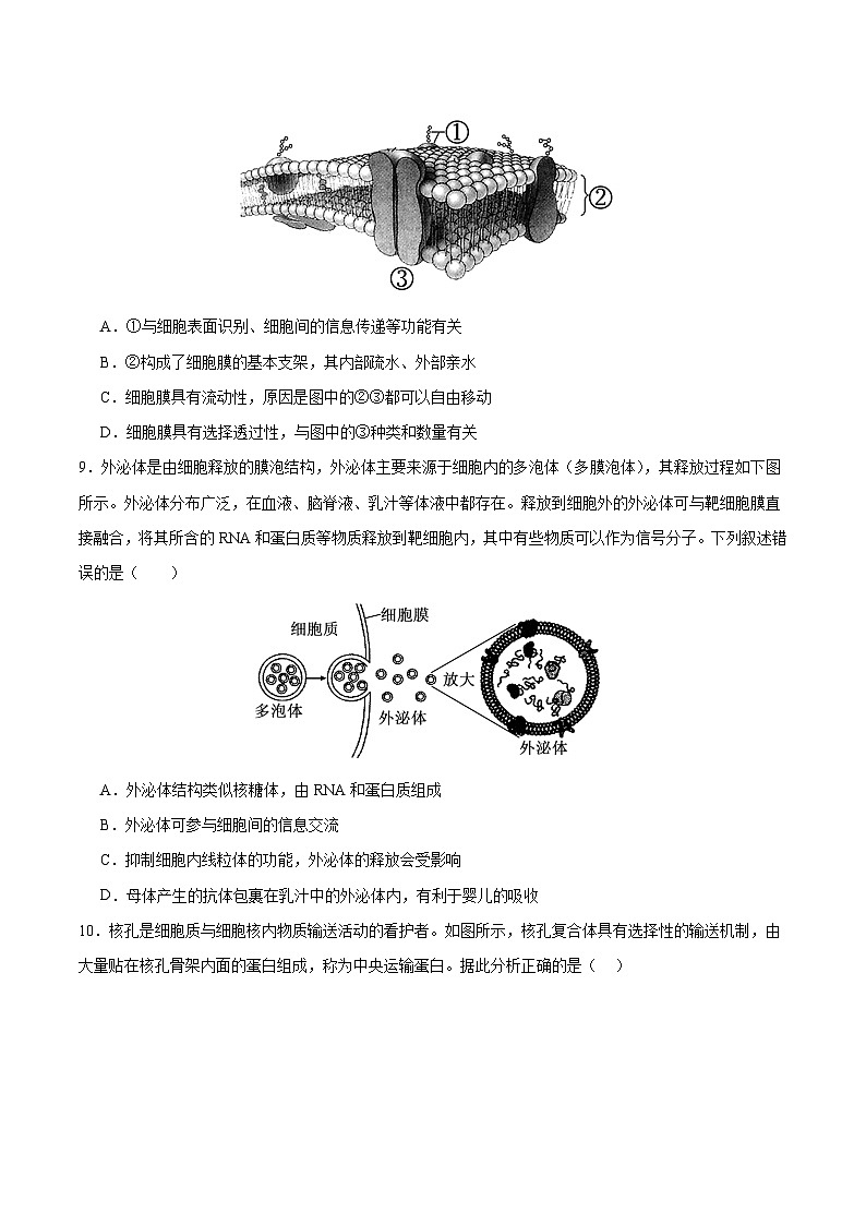 高一生物开学摸底考（全国通用）（考试版）第3页