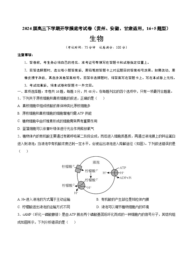 高三生物开学摸底考（贵州、安徽、甘肃适用，16+5题型）（考试版）第1页