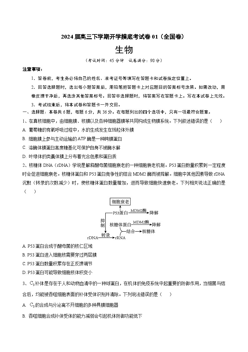 2024届高三下学期开学摸底考试卷01（全国卷）生物原卷+解析01