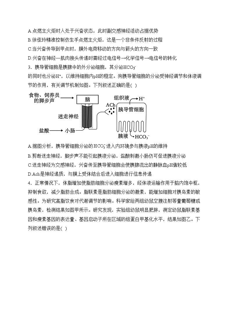 湖北省沙市中学2023-2024学年高二下学期3月月考生物试卷(含答案)第2页