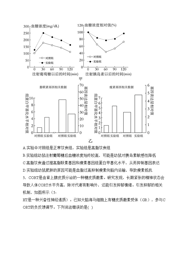 湖北省沙市中学2023-2024学年高二下学期3月月考生物试卷(含答案)第3页