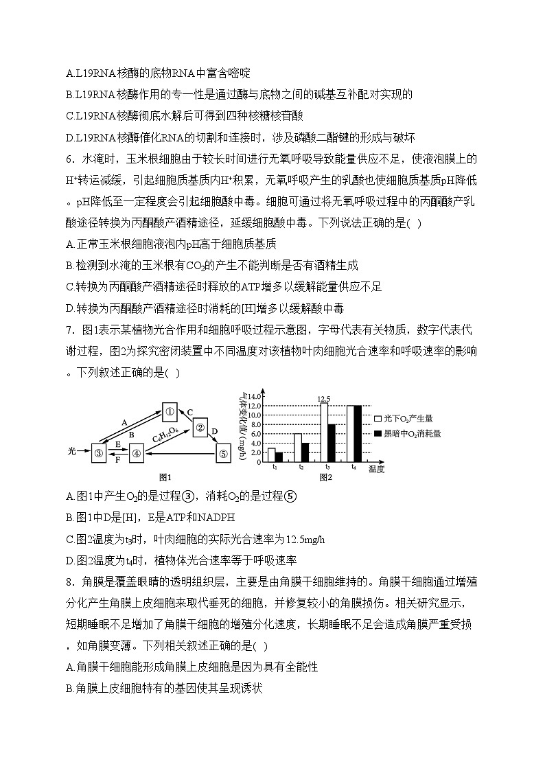 辽宁省鞍山市普通高中2024届高三下学期第二次质量监测生物试卷(含答案)02