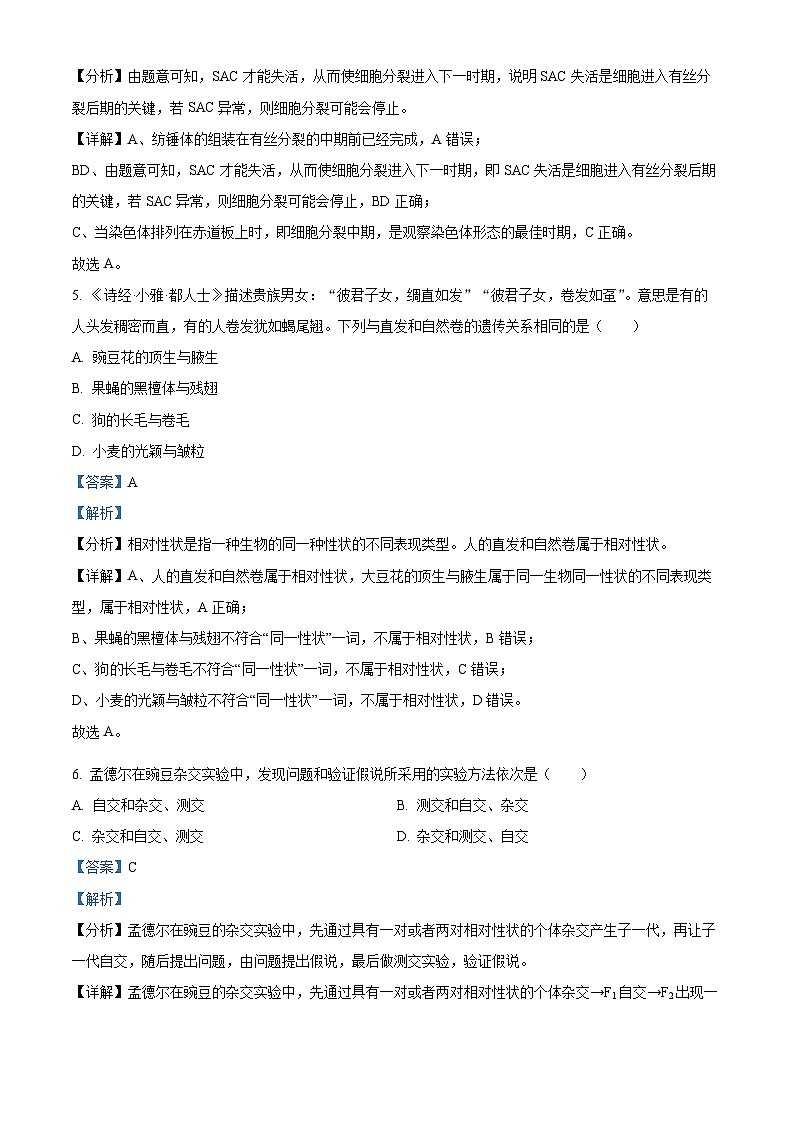 湖南省部分学校2023-2024学年高一下学期3月月考生物试卷含解析第3页