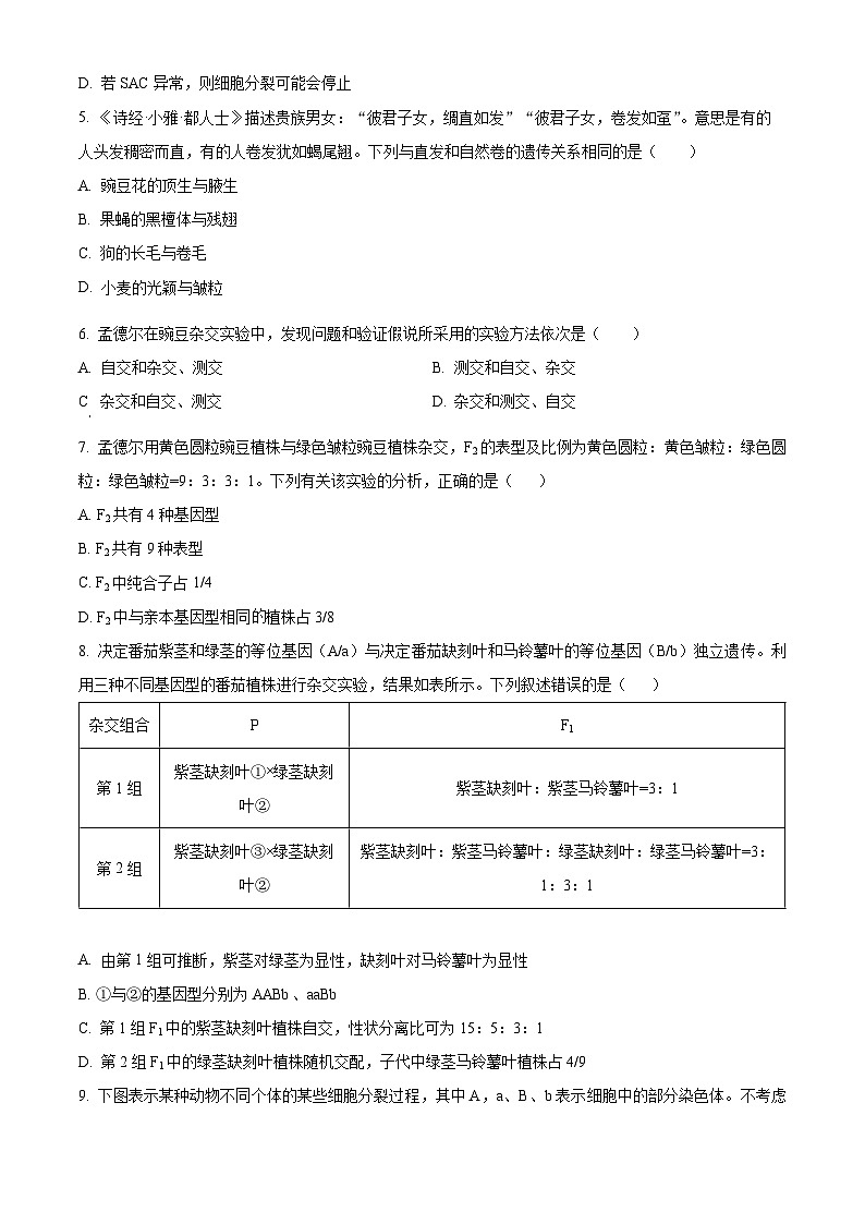 2024衡阳衡阳县三校高一下学期3月联考生物试题含解析02