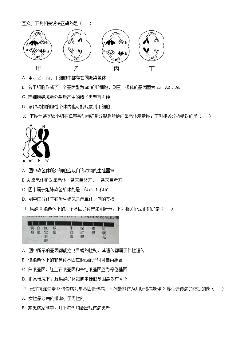 2024衡阳衡阳县三校高一下学期3月联考生物试题含解析03