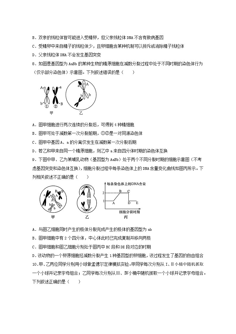 2024海口中学高一下学期3月月考试题生物含答案03