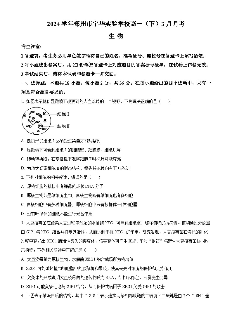 2024郑州宇华实验学校高一下学期3月月考试题生物含解析01