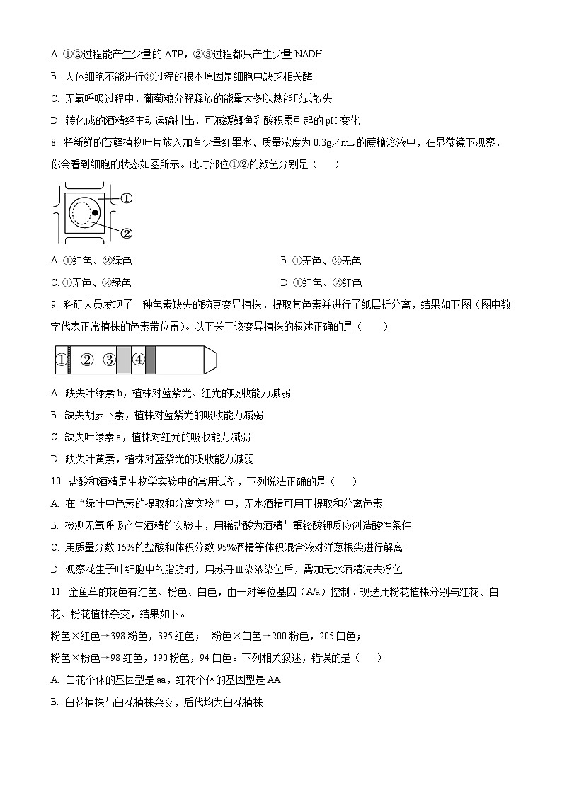 2024郑州宇华实验学校高一下学期3月月考试题生物含解析03
