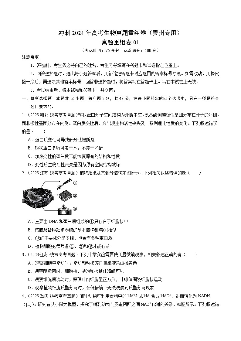 冲刺2024年高考生物真题重组卷（贵州专用）真题重组卷0101