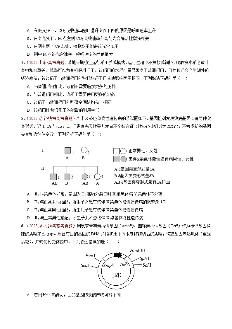 真题重组卷01（全国卷新教材）（原卷版）第2页