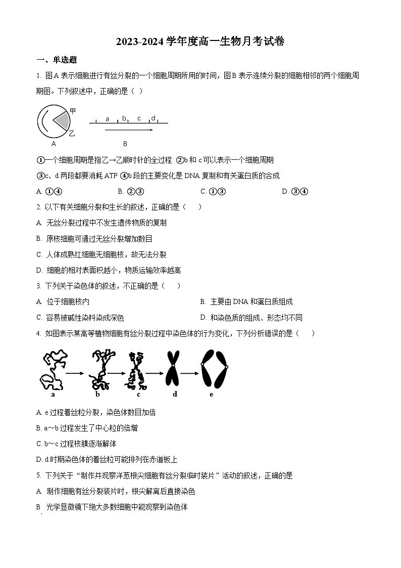 甘肃省白银市靖远县第四中学2023-2024学年高一下学期4月月考生物试题（原卷版）第1页