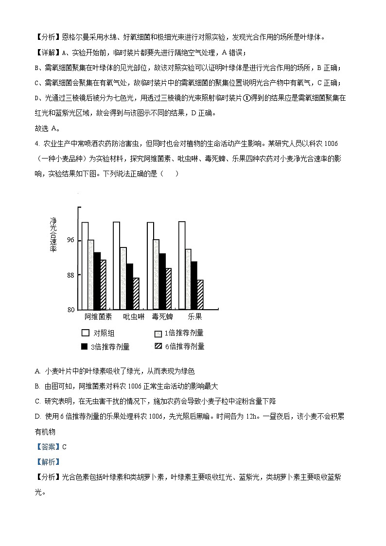 海南省省直辖县级行政单位琼中黎族苗族自治县琼中中学2023-2024学年高一下学期3月月考生物试题（解析版）第3页