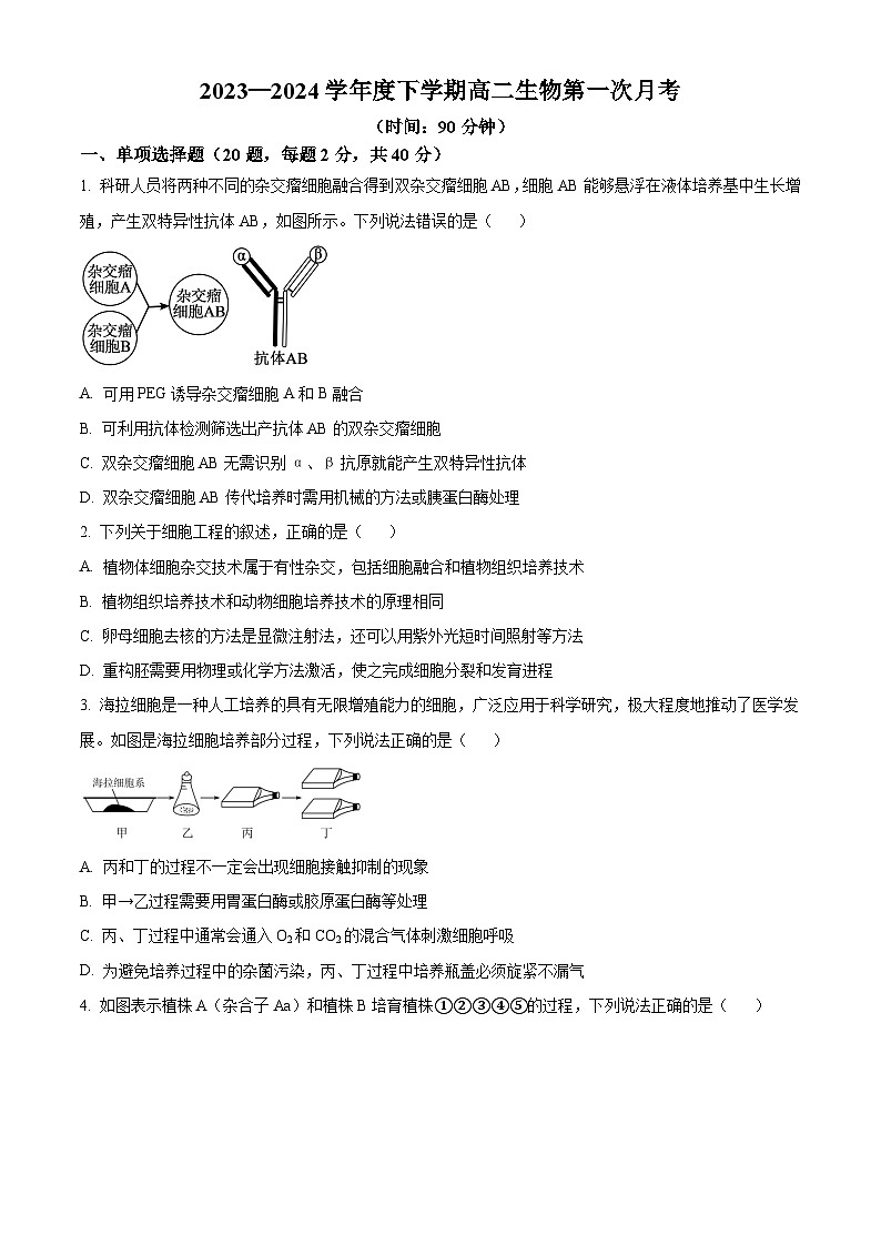 辽宁省朝阳市建平县实验中学2023-2024学年高二下学期3月月考生物试题（原卷版）第1页