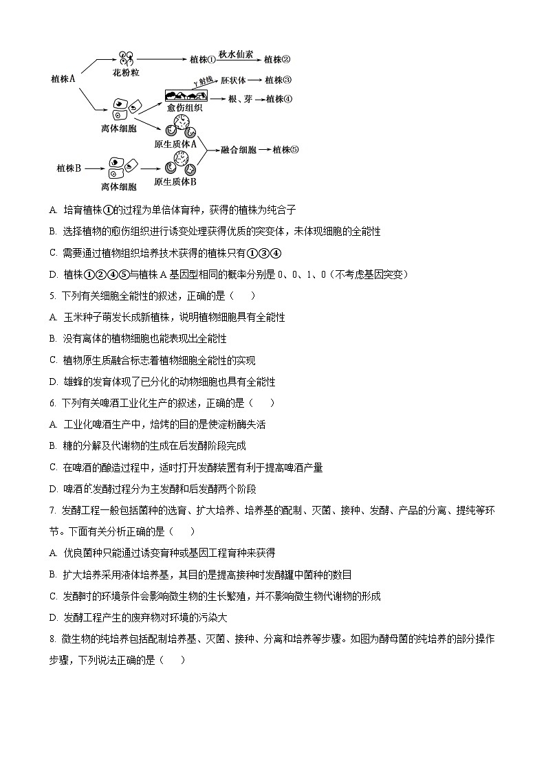 辽宁省朝阳市建平县实验中学2023-2024学年高二下学期3月月考生物试题（原卷版）第2页