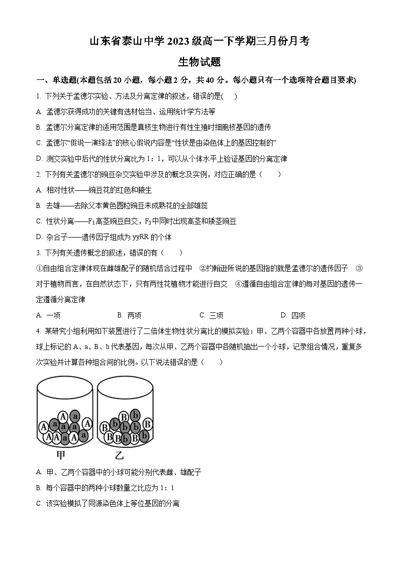 山东省泰安市泰山中学2023-2024学年高一下学期3月月考生物试题（原卷版）第1页