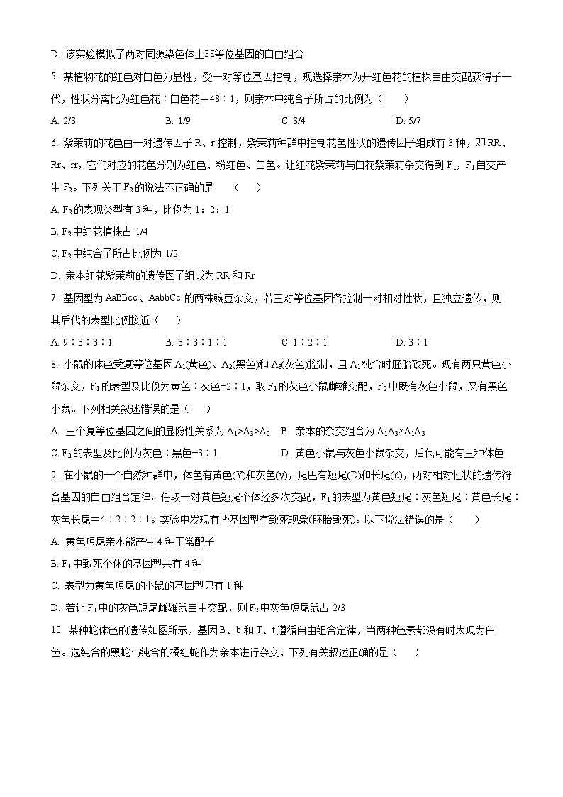 山东省泰安市泰山中学2023-2024学年高一下学期3月月考生物试题（原卷版）第2页