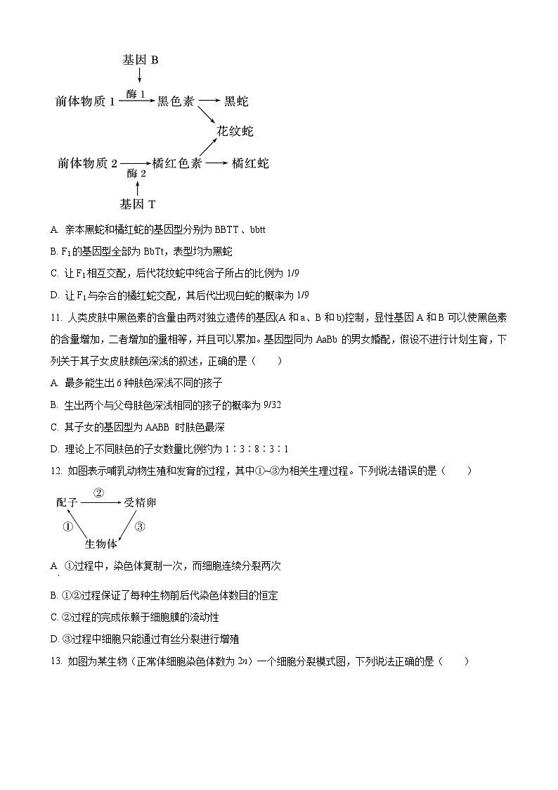 山东省泰安市泰山中学2023-2024学年高一下学期3月月考生物试题（原卷版）第3页