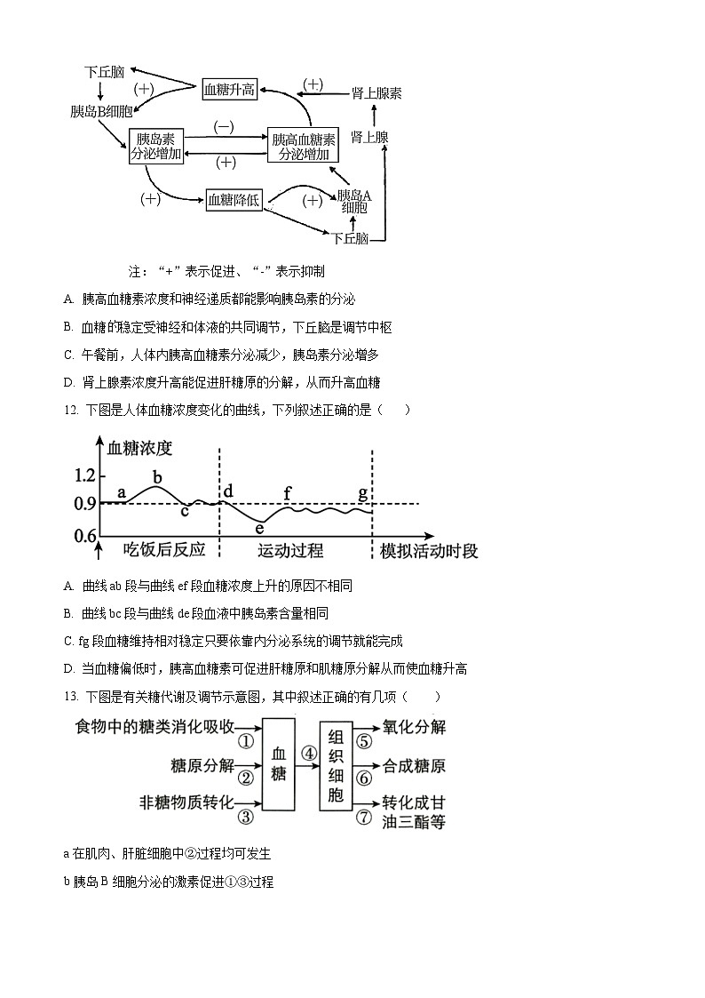 山东省潍坊市安丘市国开中学2023-2024学年高二下学期4月月考生物试题（原卷版）第3页