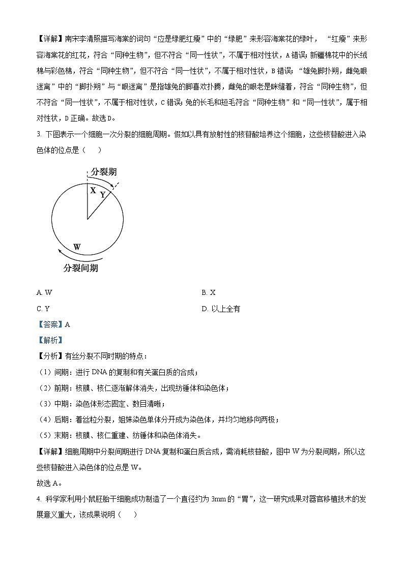 四川省广安市育才学校2023-2024学年高一下学期3月月考生物试题（原卷版+解析版）02
