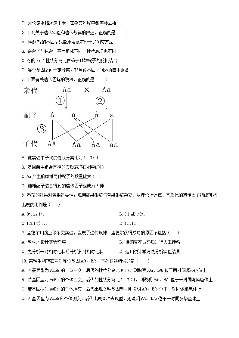 山西省晋城市第二中学校2023-2024学年高一下学期4月月考生物试题（原卷版+解析版）02