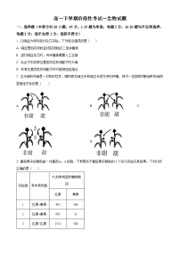 山东省泰安市宁阳县第一中学2023-2024学年高一下学期4月月考生物试题（原卷版+解析版）