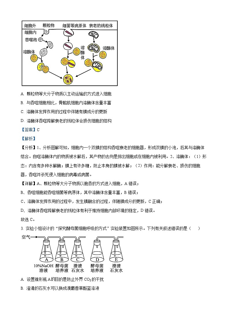 湖南省衡阳市衡阳县三校联考2023-2024学年高二下学期4月月考生物试题（解析版）第2页