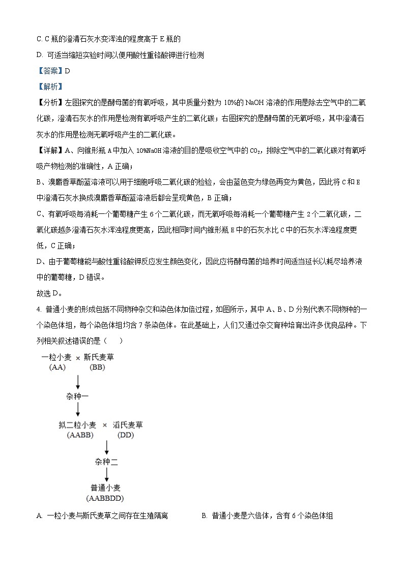 湖南省衡阳市衡阳县三校联考2023-2024学年高二下学期4月月考生物试题（解析版）第3页