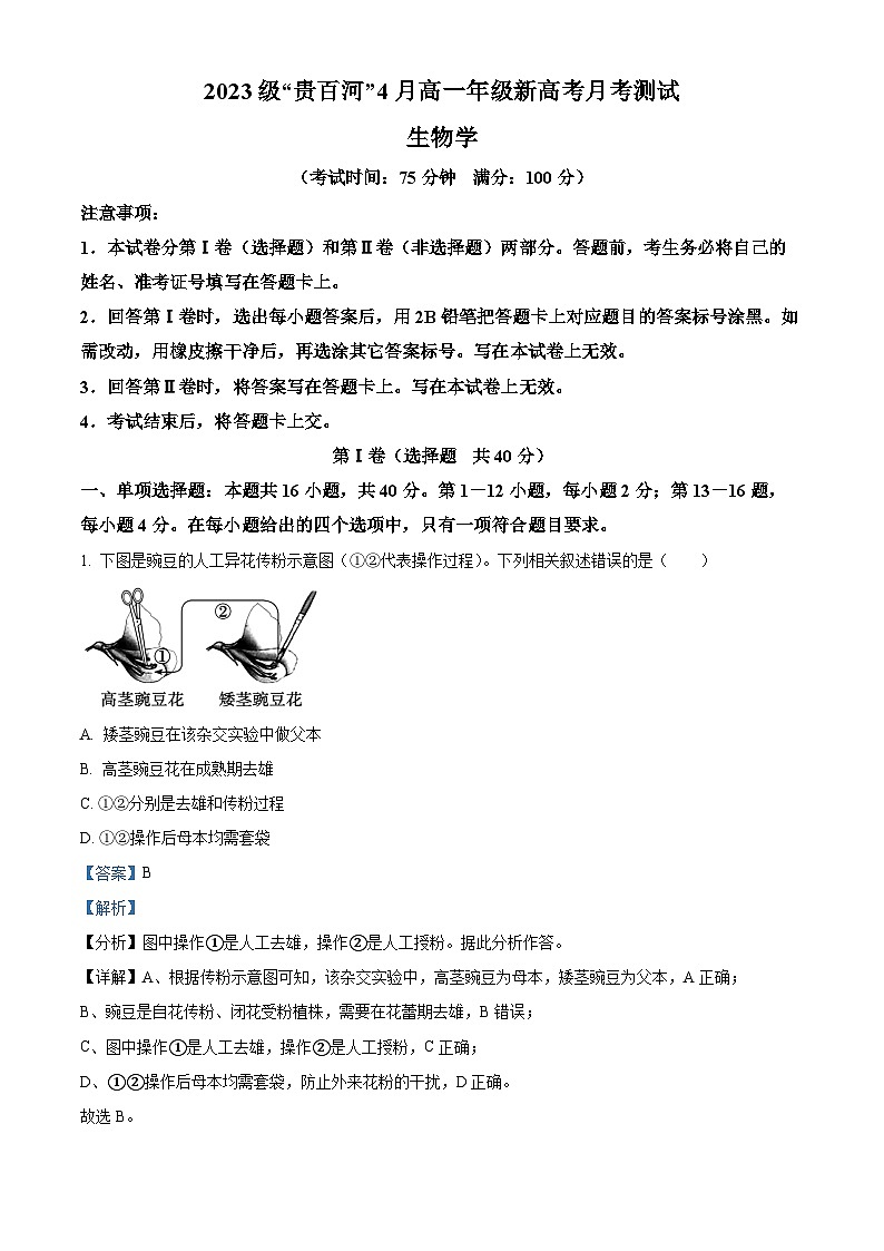 广西壮族自治区贵百河联考2023-2024学年高一下学期4月月考生物试题（原卷版+解析版）01