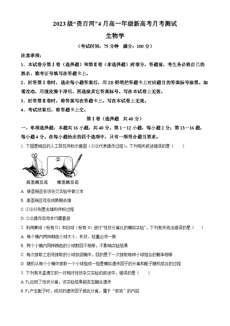 广西壮族自治区贵百河联考2023-2024学年高一下学期4月月考生物试题（原卷版+解析版）01