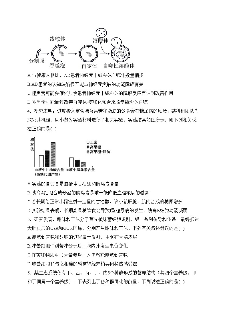 湖北省武汉市黄陂区部分学校2023-2024学年高二下学期3月月考生物试卷(含答案)02