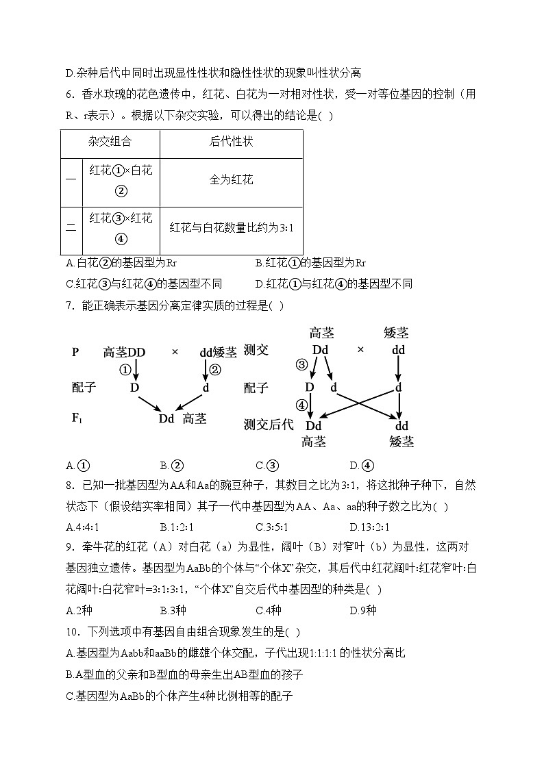 简阳市实验中学2023-2024学年高一下学期3月月考生物试卷(含答案)第2页