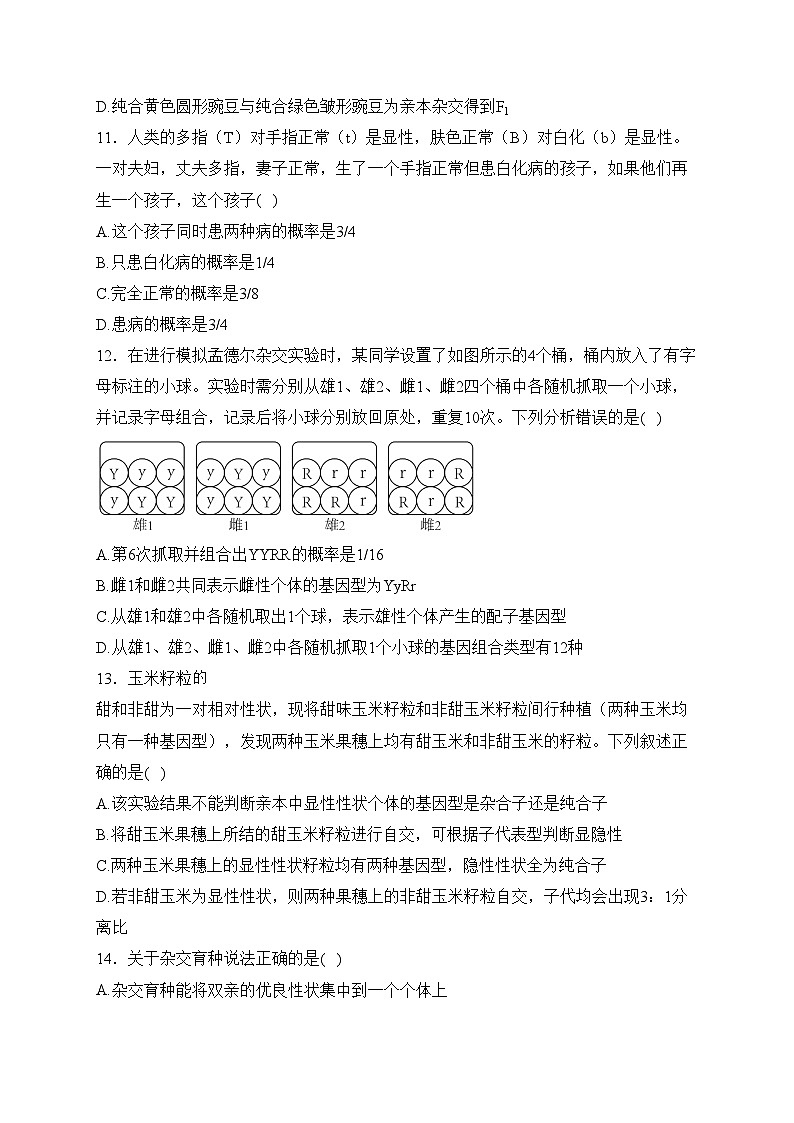 简阳市实验中学2023-2024学年高一下学期3月月考生物试卷(含答案)第3页