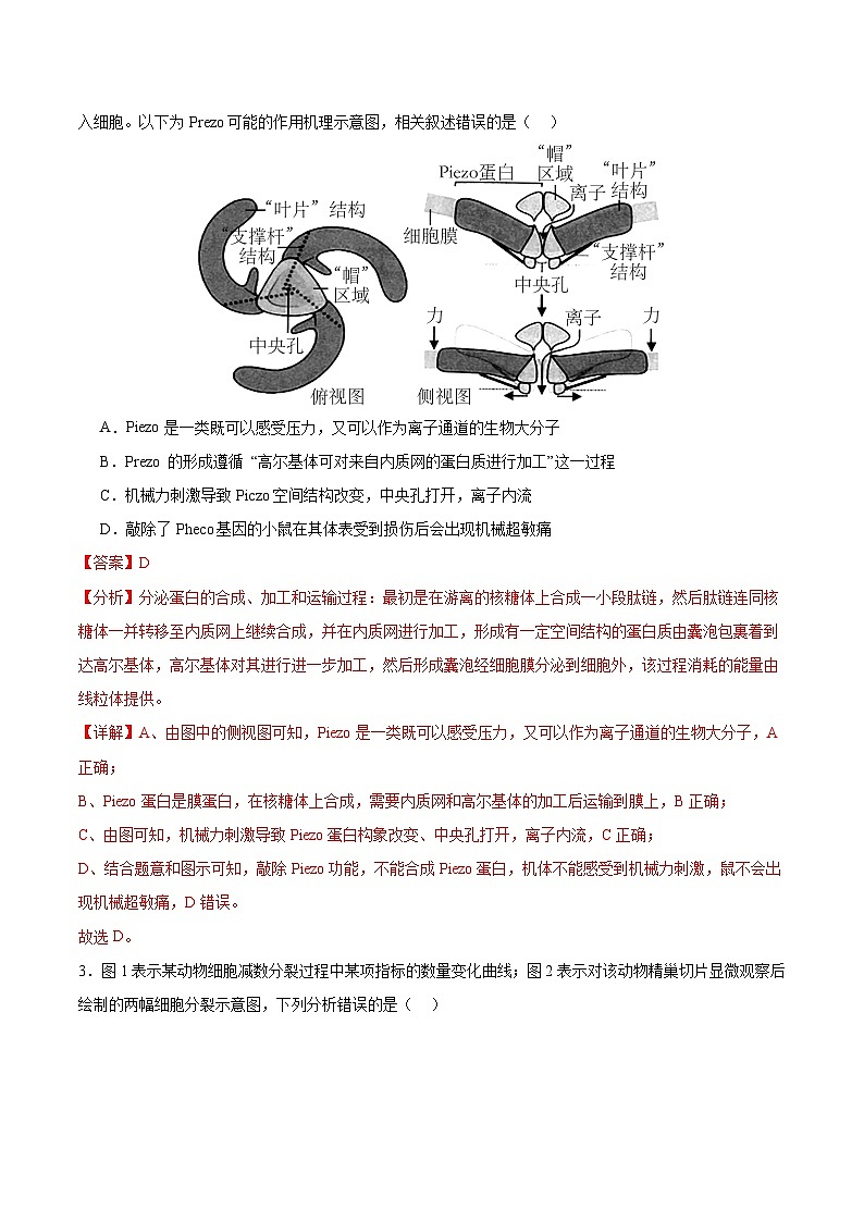 2024年1月“七省联考”考前生物猜想卷（广西卷）（全解全析）第2页