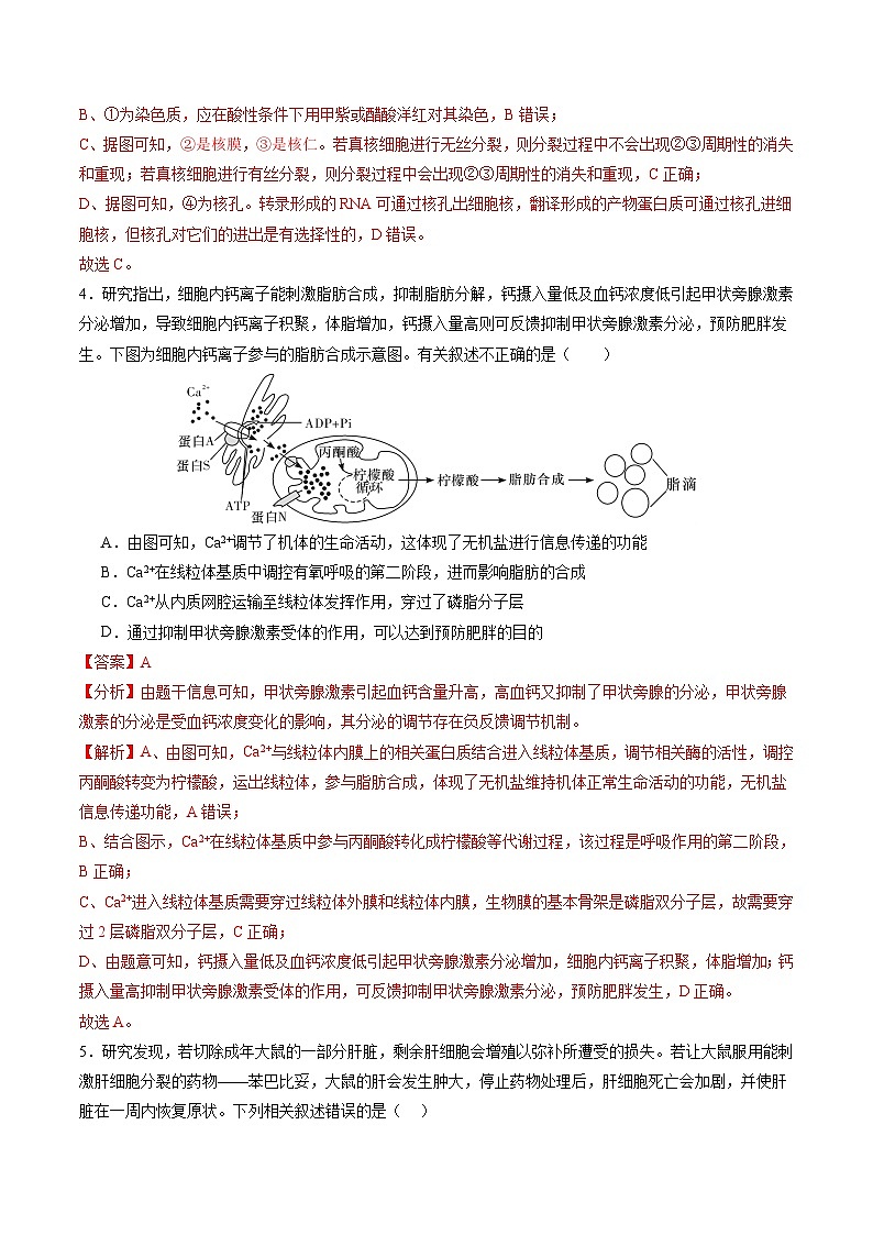 2024年1月“七省联考”考前高三上学期期末生物猜想卷（贵州、安徽、甘肃适用，16+5题型）03