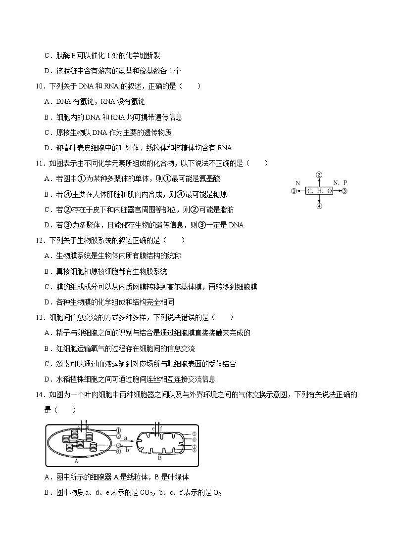 2024年高一上学期生物期末复习模拟卷02【好题汇编】备战2023-2024学年高一生物上学期期末真题分类汇编（新高考专用）03