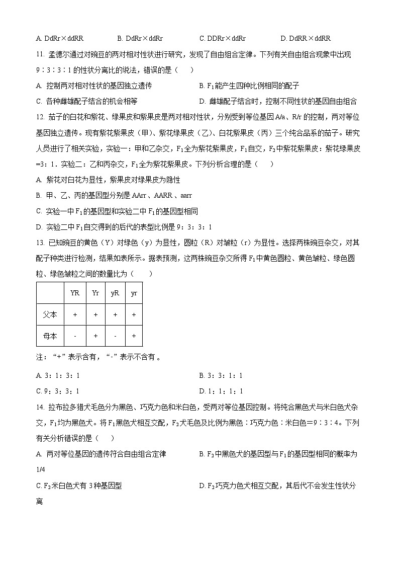 贵州省遵义市四城区联考2023-2024学年高一下学期4月月考生物试题（原卷版+解析版）03