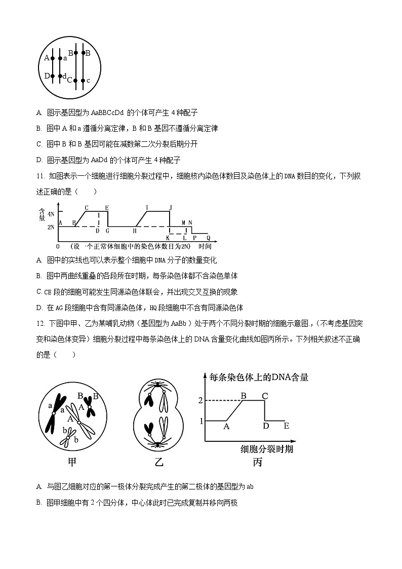 天津市北辰区第四十七中学2023-2024学年高一下学期3月月考生物试题（原卷版）第3页