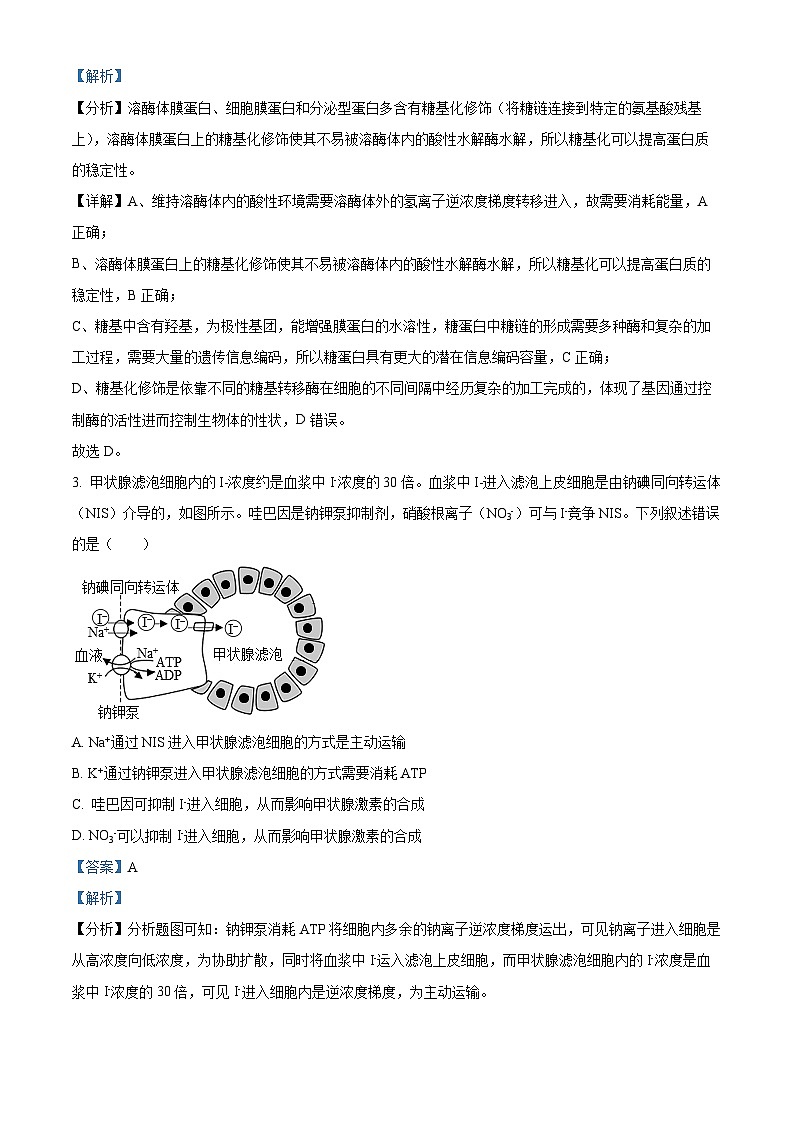 重庆市黔江区黔江民族中学校2023-2024学年高三下学期4月月考生物试题（原卷版+解析版）02