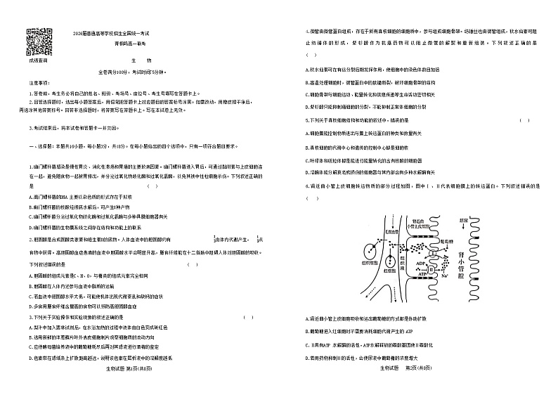河南省商丘市青桐鸣大联考2023-2024学年高一下学期3月月考 生物第1页