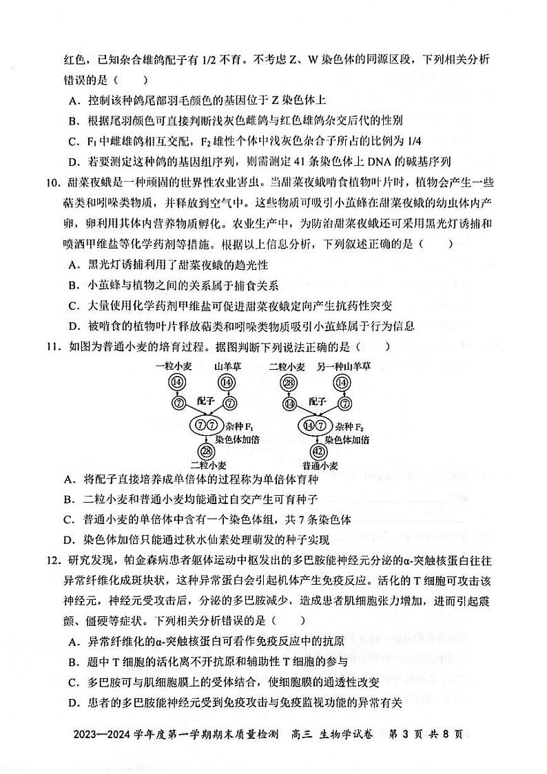 广东省深圳市罗湖区2023-2024学年高三上学期1月期末生物试题03