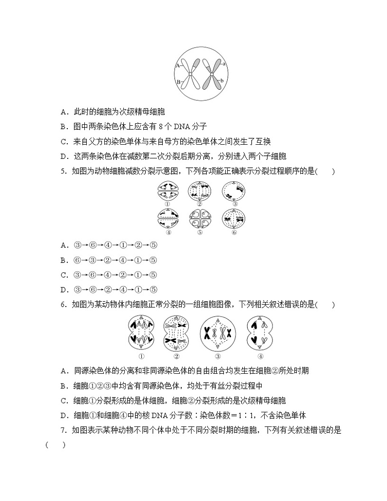 【分层作业】人教版高中生物必修二 2.1《减数分裂》（含答案解析）第2页