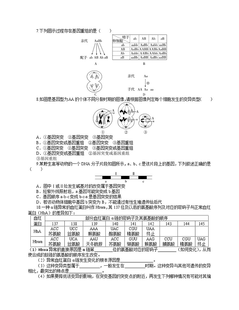 【分层作业】人教版高中生物必修二 5.1《基因突变和基因重组》（含答案解析）02