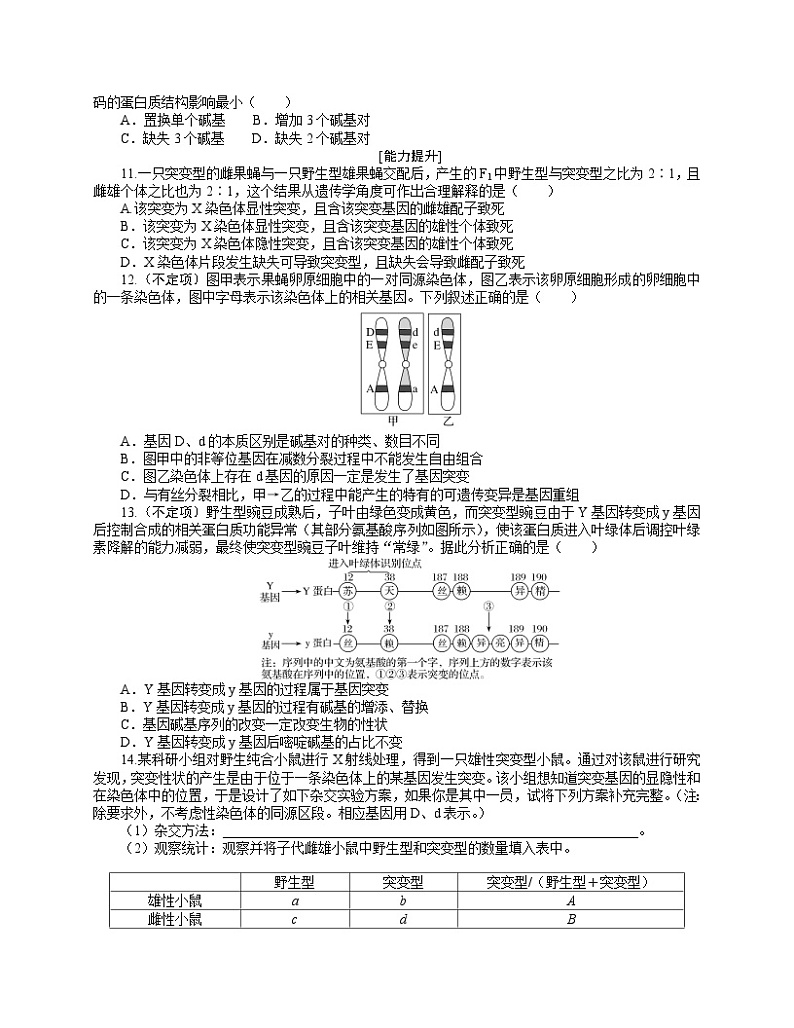 【分层作业】人教版高中生物必修二 5.1《基因突变和基因重组》（含答案解析）03