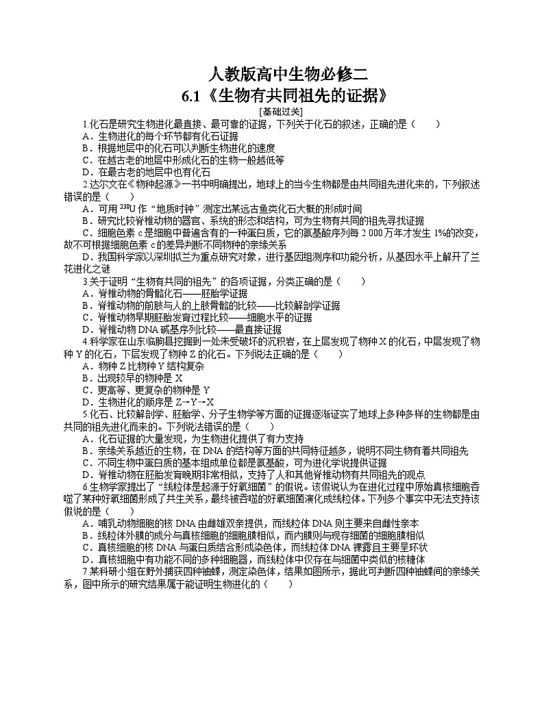 【分层作业】人教版高中生物必修二 6.1《生物有共同祖先的证据》（含答案解析）第1页