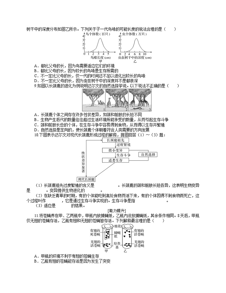 【分层作业】人教版高中生物必修二 6.2《自然选择与适应的形成》（含答案解析）02