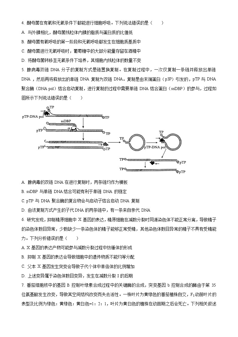 2024届山东省齐鲁名校高三下学期第三次学业质量联合检测生物（原卷版）第2页